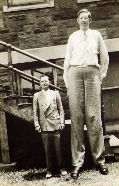 L'Uomo più Alto del Mondo con 2 metri 72 centimetri : Robert Pershing Wadlow