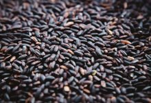 I benefici per la salute del riso nero: L'ultima tendenza nella riduzione delle malattie